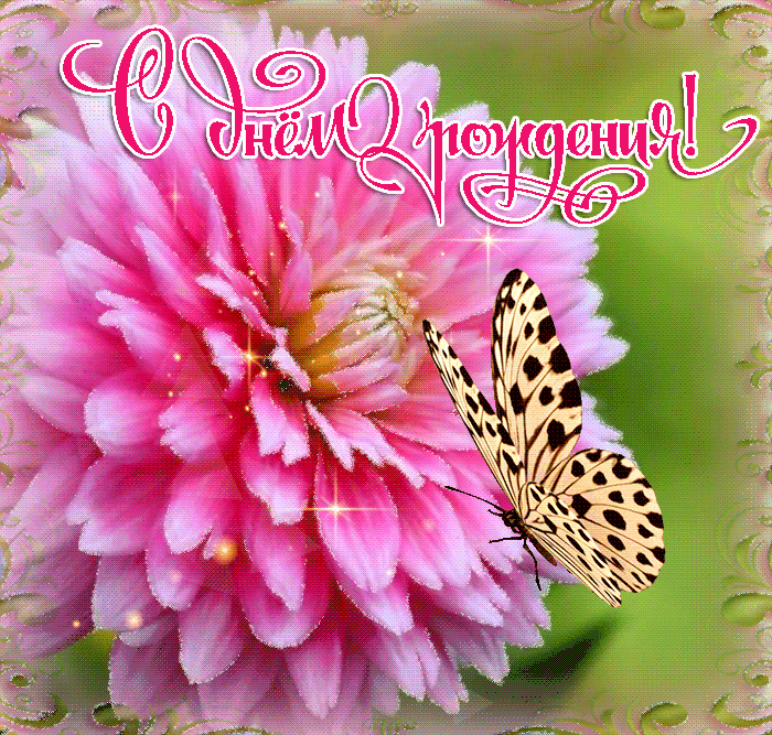 Мерцающие открытки с днем рождения женщине ольге. С днем рождения бабочки. Поздравления с днём рождения с бабочками. С днём рождения женщине. Открытки с днём рождения с бабочками.